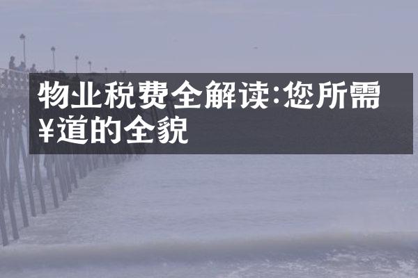 物业税费全解读:您所需知道的全貌