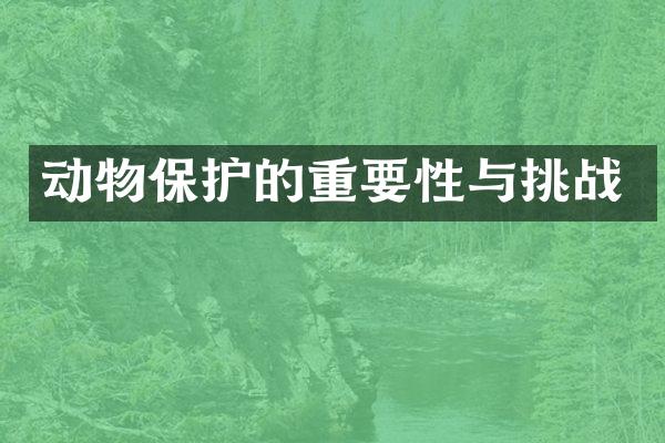 动物保护的重要性与挑战