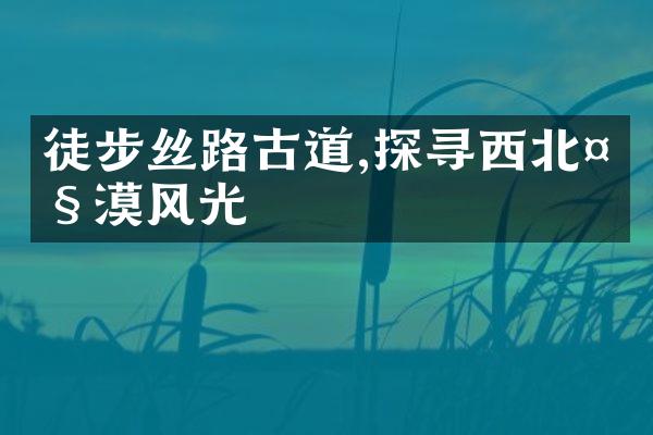 徒步丝路古道,探寻西北大漠风光