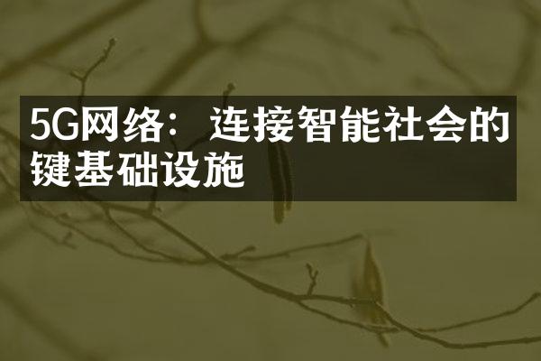 5G网络：连接智能社会的关键基础设施
