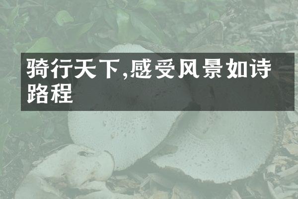 骑行天下,感受风景如诗的路程