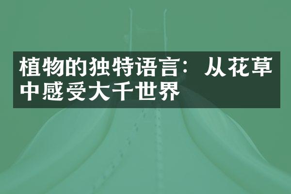 植物的独特语言：从花草中感受大千世界