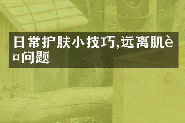 日常护肤小技巧,远离肌肤问题