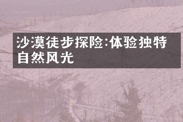 沙漠徒步探险:体验独特的自然风光