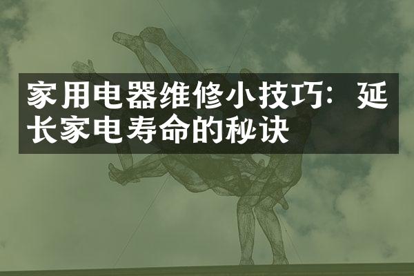 家用电器维修小技巧：延长家电寿命的秘诀
