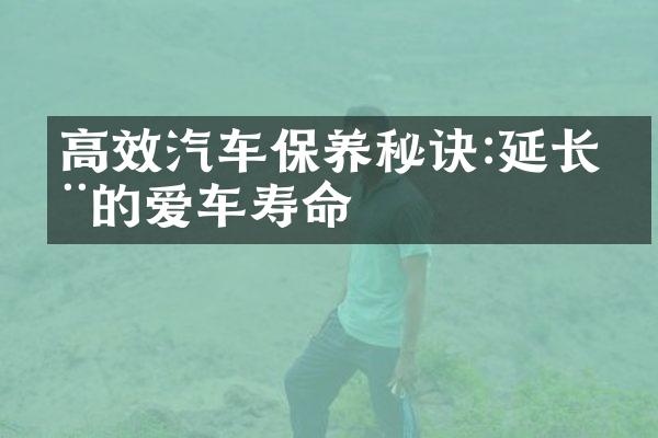 高效汽车保养秘诀:延长您的爱车寿命