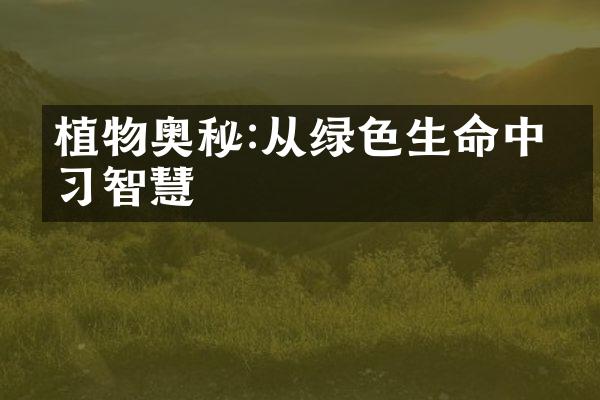 植物奥秘:从绿色生命中学习智慧