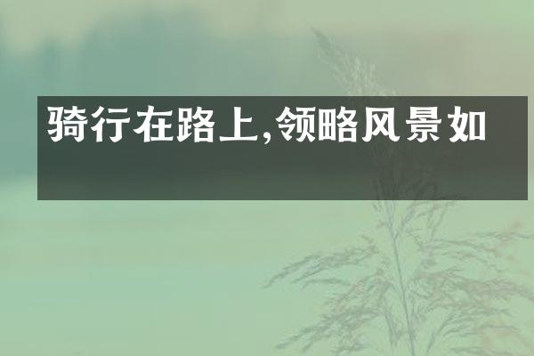 骑行在路上,领略风景如画