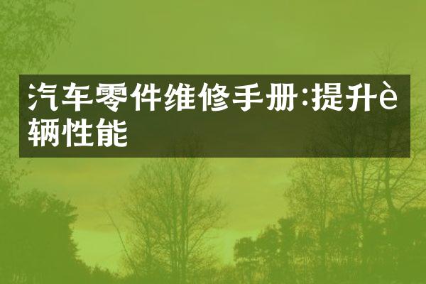 汽车零件维修手册:提升车辆性能