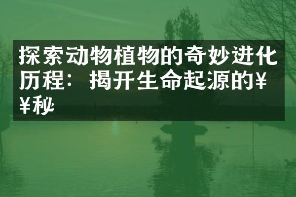 探索动物植物的奇妙进化历程：揭开生命起源的奥秘