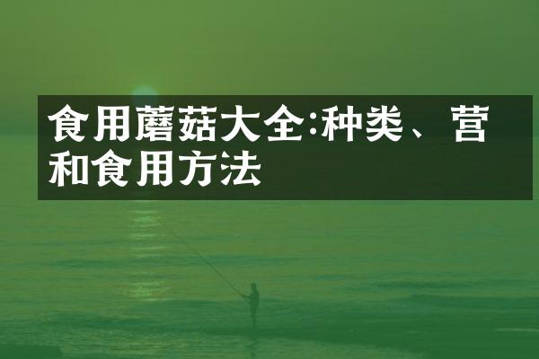 食用蘑菇大全:种类、营养和食用方法