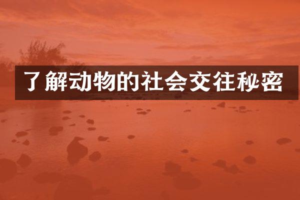 了解动物的社会交往秘密