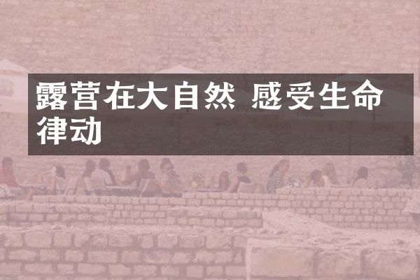 露营在大自然 感受生命的律动