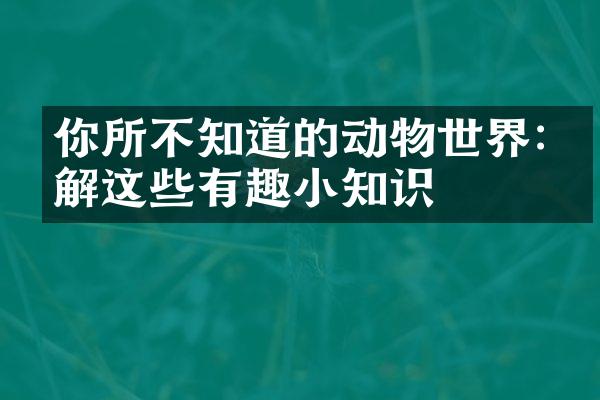 你所不知道的动物世界:了解这些有趣小知识
