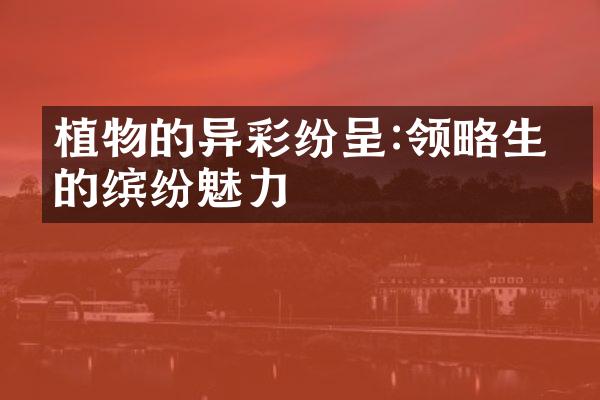 植物的异彩纷呈:领略生命的缤纷魅力
