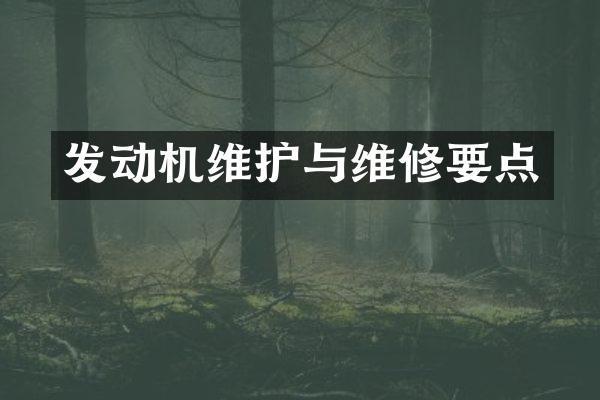 发动机维护与维修要点