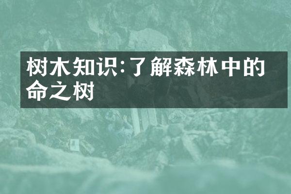 树木知识:了解森林中的生命之树