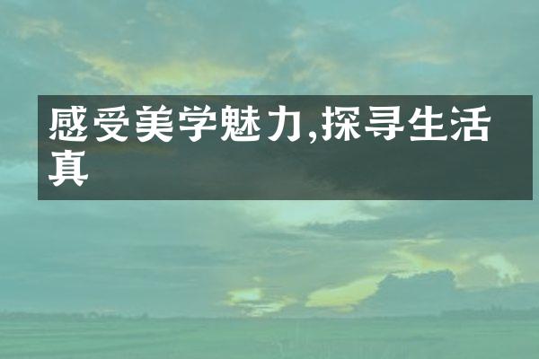 感受美学魅力,探寻生活本真