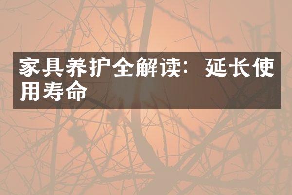 家具养护全解读：延长使用寿命