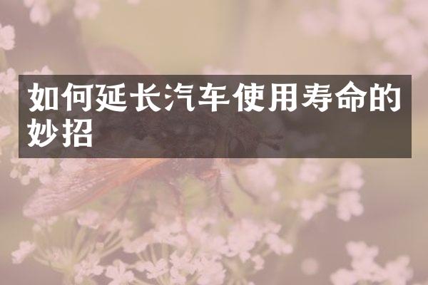 如何延长汽车使用寿命的妙招