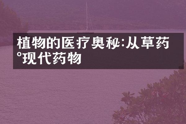植物的医疗奥秘:从草药到现代药物
