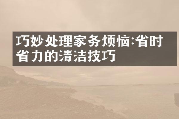 巧妙处理家务烦恼:省时又省力的清洁技巧