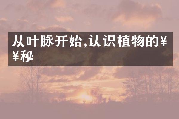 从叶脉开始,认识植物的奥秘