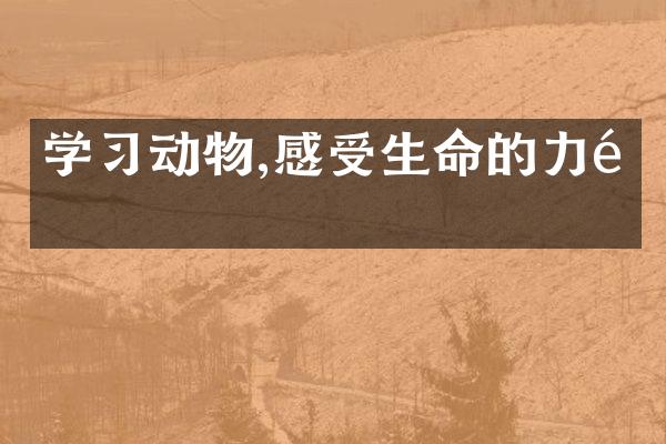 学习动物,感受生命的力量