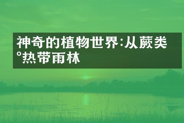 神奇的植物世界:从蕨类到热带雨林