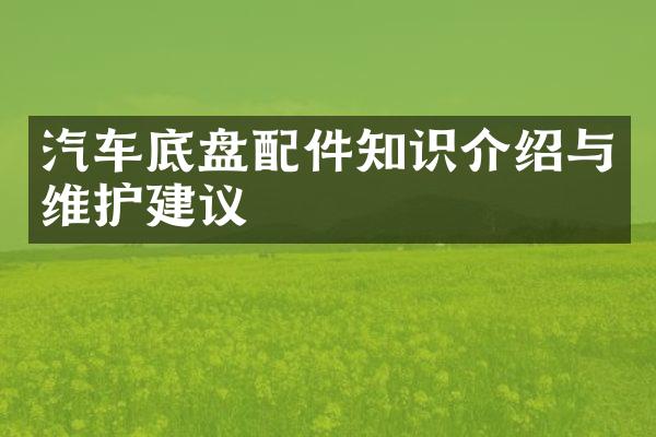 汽车底盘配件知识介绍与维护建议