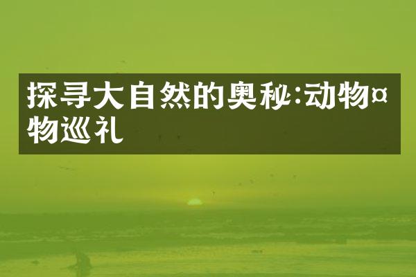 探寻大自然的奥秘:动物植物巡礼