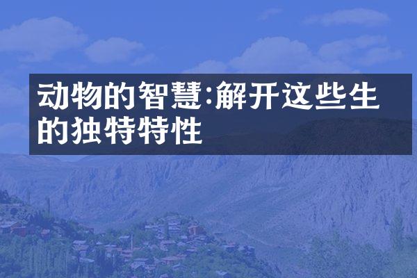 动物的智慧:解开这些生命的独特特性
