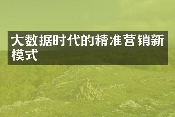 大数据时代的精准营销新模式