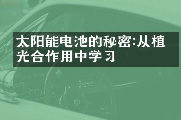 太阳能电池的秘密:从植物光合作用中学习