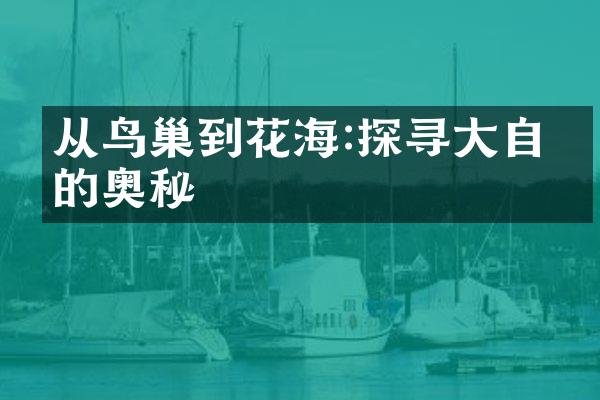 从鸟巢到花海:探寻大自然的奥秘