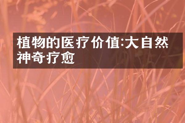 植物的医疗价值:大自然的神奇疗愈