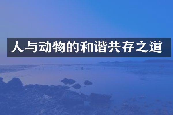 人与动物的和谐共存之道