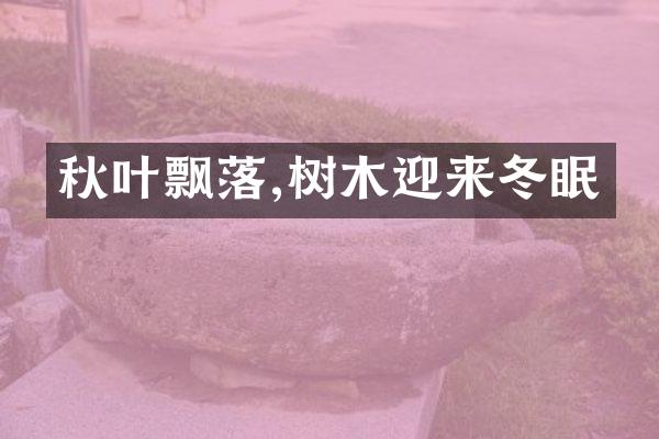秋叶飘落,树木迎来冬眠