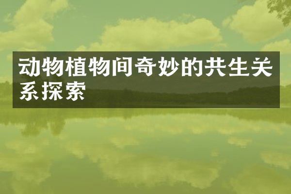 动物植物间奇妙的共生关系探索