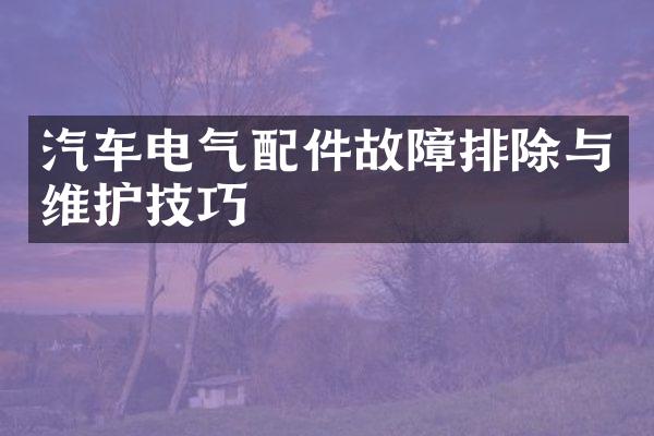 汽车电气配件故障排除与维护技巧