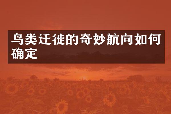 鸟类迁徙的奇妙航向如何确定