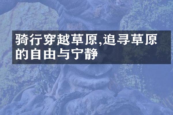 骑行穿越草原,追寻草原上的自由与宁静