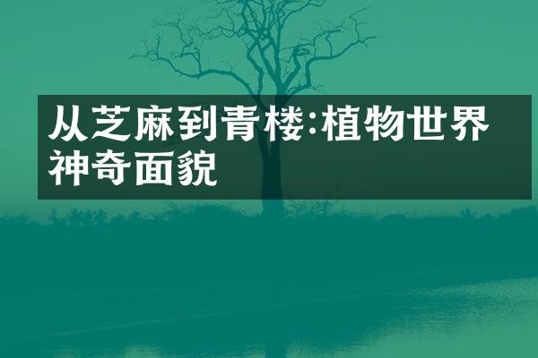从芝麻到青楼:植物世界的神奇面貌