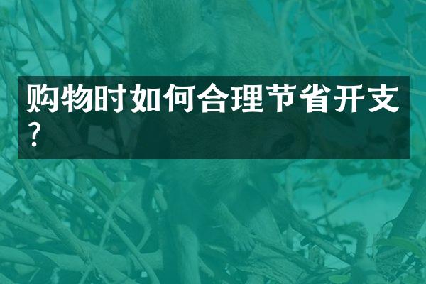 购物时如何合理节省开支?