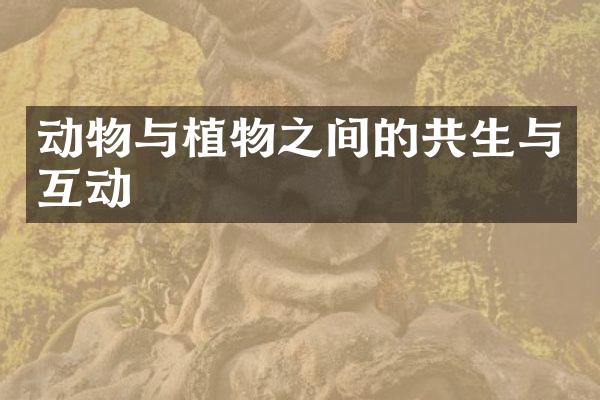 动物与植物之间的共生与互动