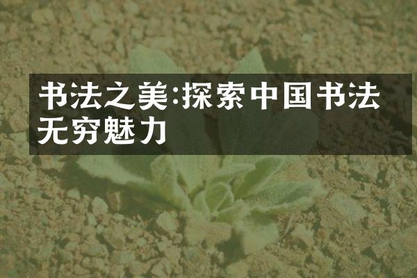 书法之美:探索中国书法的无穷魅力