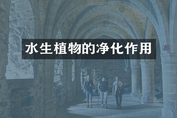 水生植物的净化作用