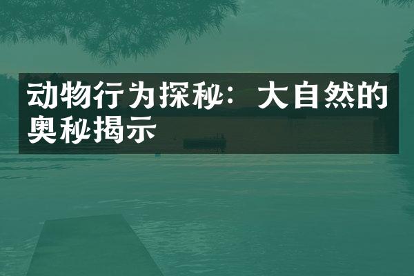 动物行为探秘：大自然的奥秘揭示
