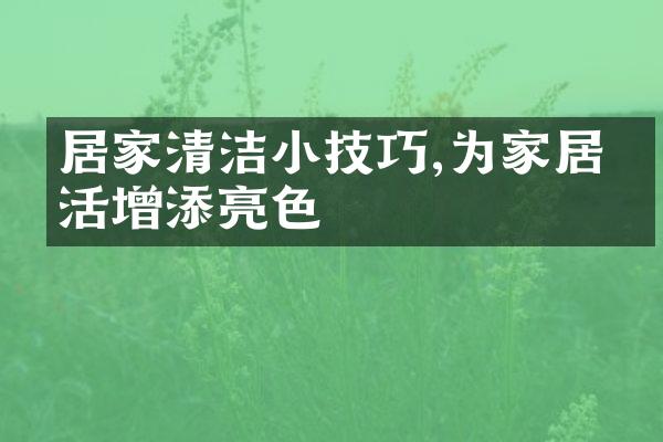 居家清洁小技巧,为家居生活增添亮色