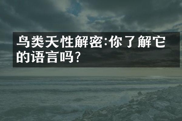 鸟类天性解密:你了解它们的语言吗?